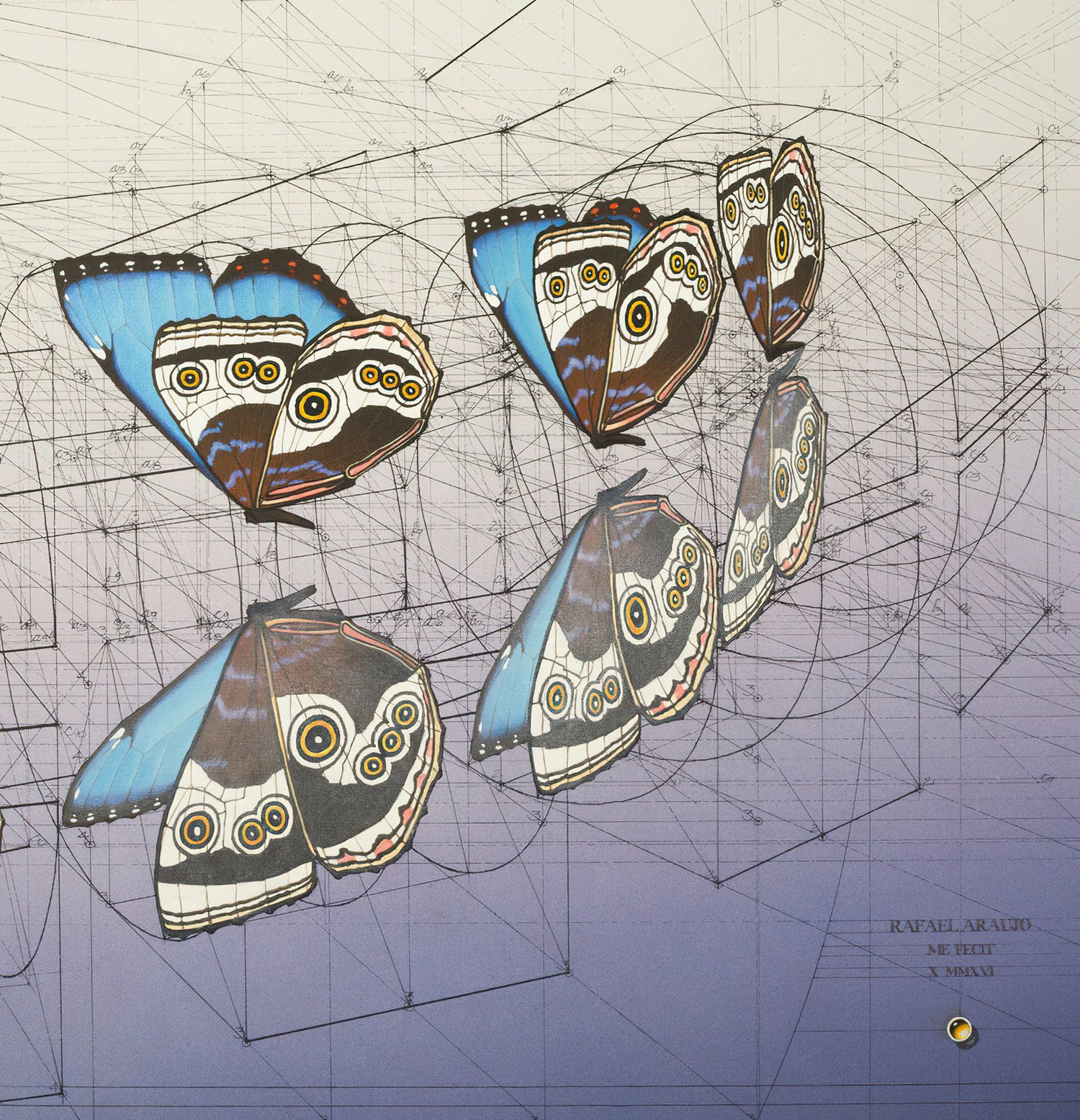 GEOMETRY__MORPHO_WATER_MIRROR-gigapixel-standard-scale-6_00x.jpeg