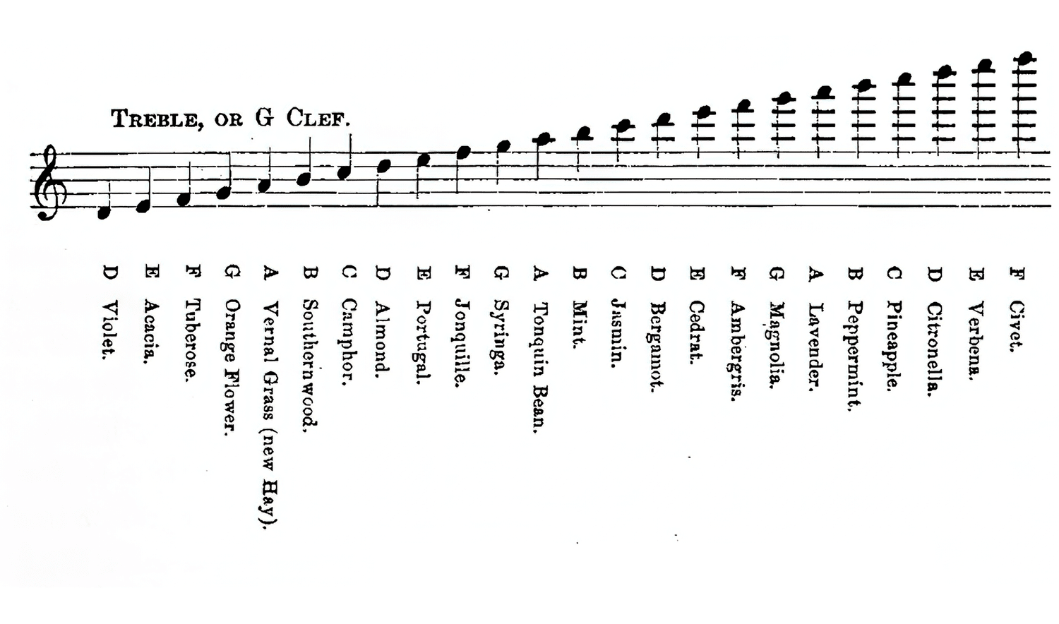 THE GAMUT OF ODORS, SEPTIMUS PIESSE